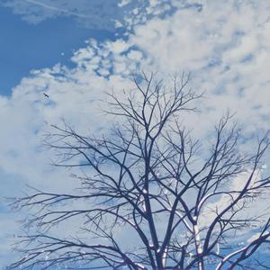 6996一起享受末日人生
